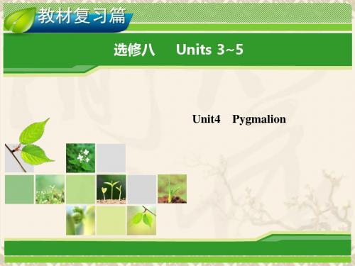 高考英语一轮复习 Unit 4 Pygmalion指导课件 新人教版选修8