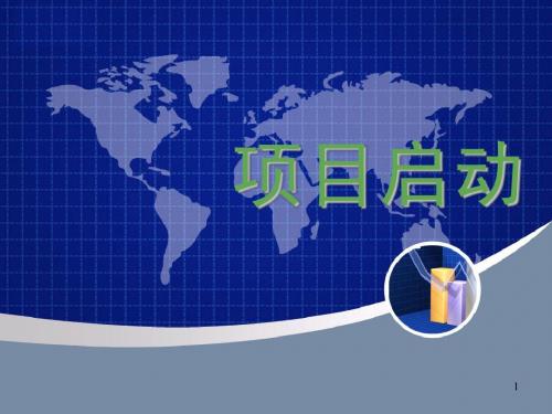 20111115高级项目管理师-启动