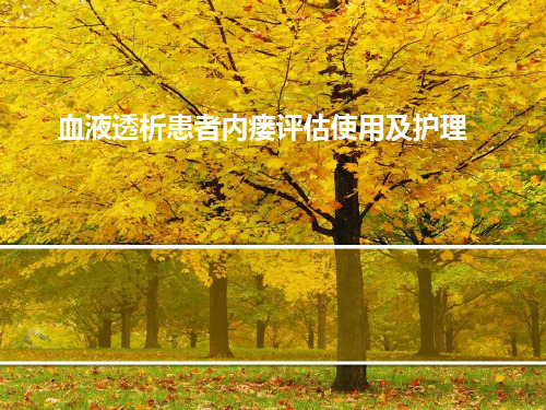血液透析患者内瘘评估使用及护理