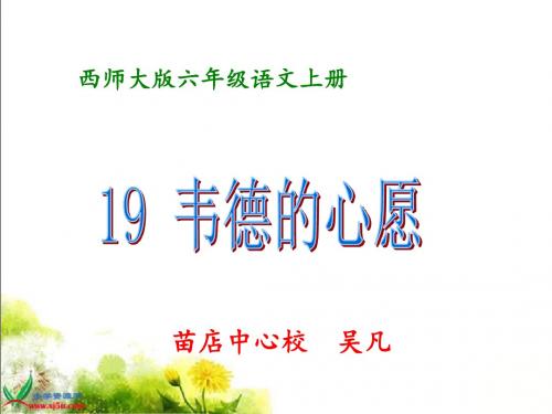 19_韦德的心愿