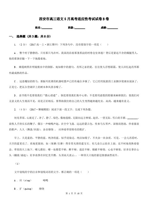 西安市高三语文5月高考适应性考试试卷B卷