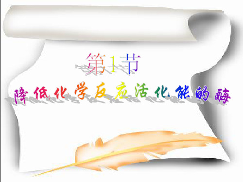 第1节 降低化学反应活化能的酶