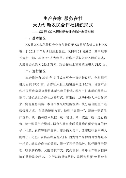 XX县XX水稻种植专业合作社典型材料