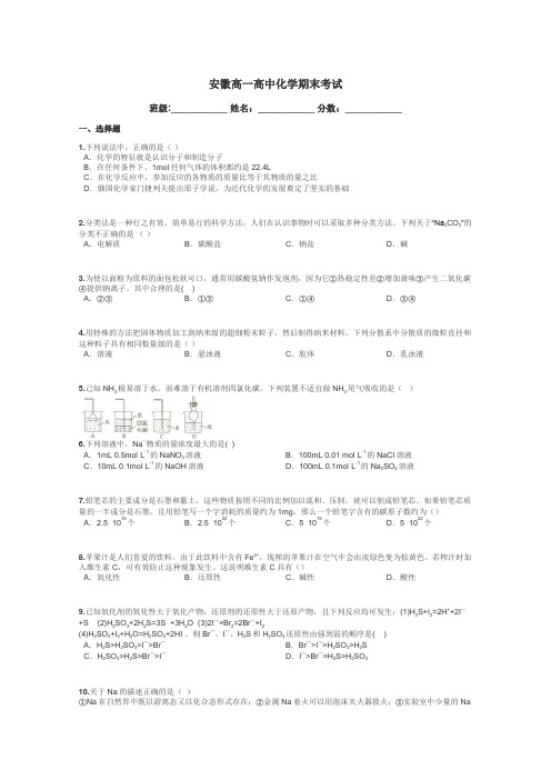 安徽高一高中化学期末考试带答案解析
