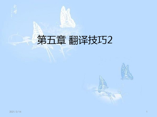 英语专业英译汉第五章翻译技巧
