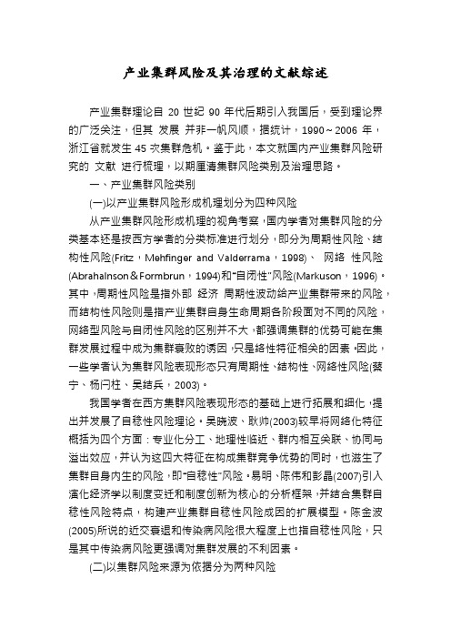 产业集群风险及其治理的文献综述