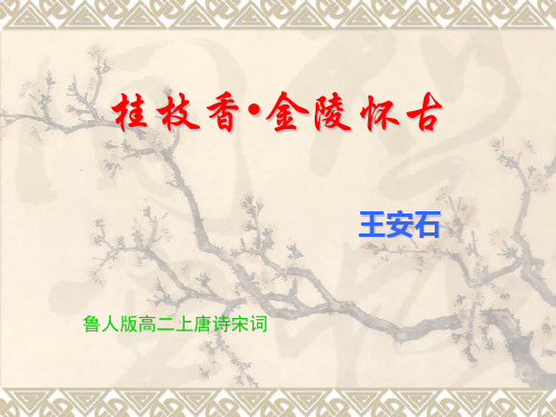 鲁人版高二《唐诗宋词》《桂枝香 金陵怀古》ppt课件