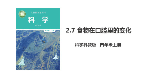 教科版四年级科学上册2.7《食物在口腔里的变化》课件