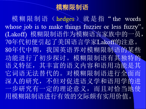 模糊限制词1分析