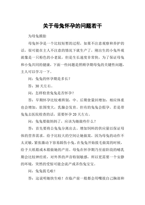 关于母兔怀孕的问题若干