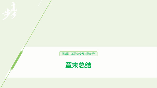 2020学年新教材高中生物第5章基因突变及其他变异章末总结课件新人教版必修第二册
