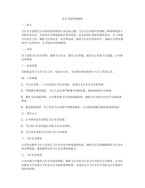安全飞检管理制度