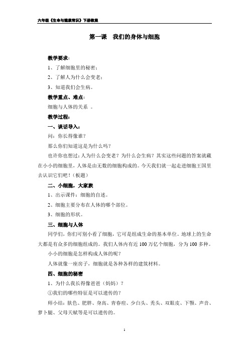 六年级生命与健康常识下册教案