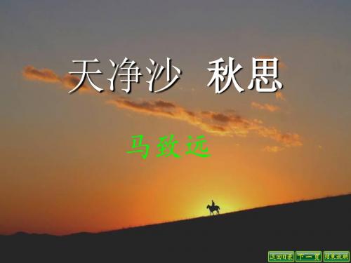 《天净沙秋思 》 (共14张PPT)上课用