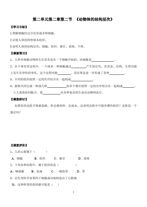 2-2-2动物体的结构层次