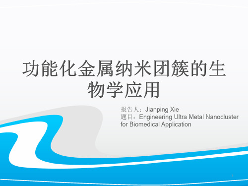 金属纳米团簇ppt课件