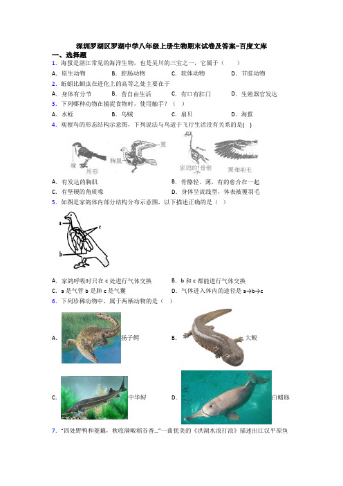 深圳罗湖区罗湖中学八年级上册生物期末试卷及答案-百度文库