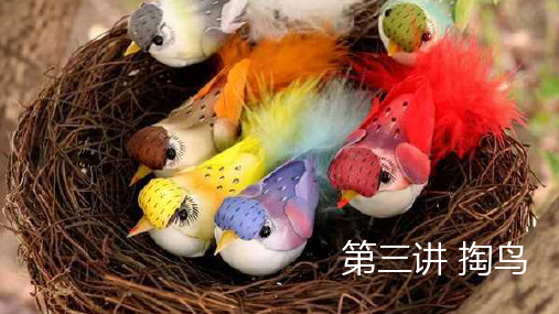 3《掏鸟》——阅读记事类文章