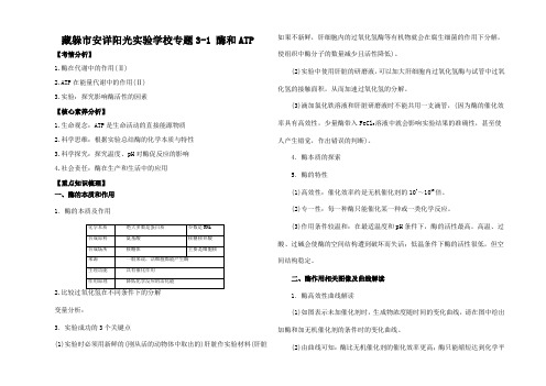 高考生物一轮复习 知识点讲解专题 酶和ATP