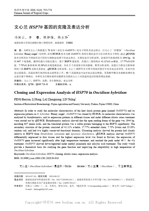 文心兰HSP70_基因的克隆及表达分析