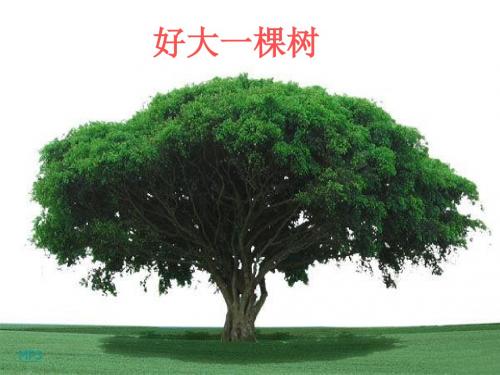 蒸腾作用课件PPT 5 北师大版