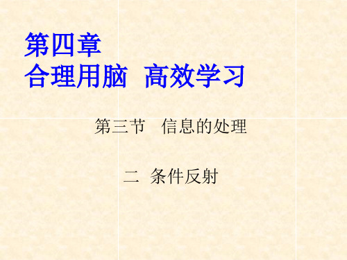 冀少版生物七下2.4.3《信息的处理-条件反射》同步教学课件(共20张PPT)
