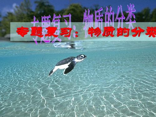 人教九年级化学物质的分类 专题复习(共21张PPT)