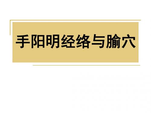 手阳明经络与腧穴课件