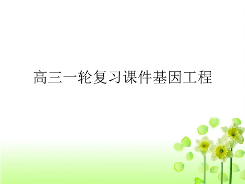 高三一轮复习课件基因工程