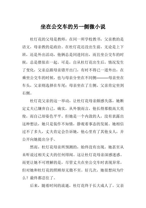 坐在公交车的另一侧微小说