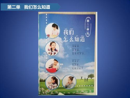 一年级科学上册 第二单元 我们怎么知道 3 看一看课件 青岛版五四制