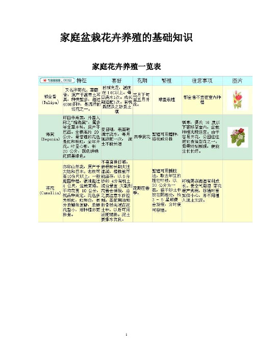 家庭盆栽花卉养殖的基础知识