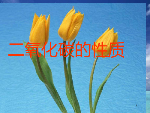 《CO2的性质与用途》PPT课件
