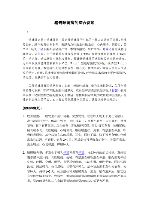 猪链球菌病的综合防治