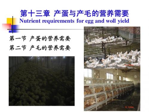 13第十三章 产蛋和产毛的营养需要