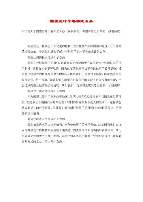 鹤望兰叶子卷曲怎么办