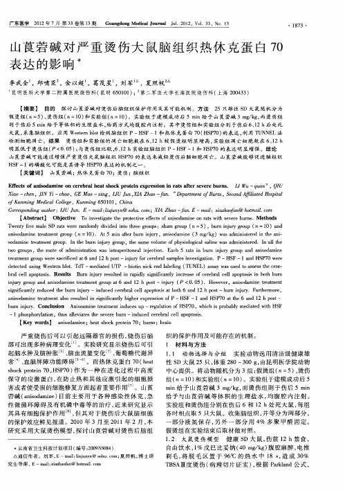 山莨菪碱对严重烫伤大鼠脑组织热休克蛋白70表达的影响