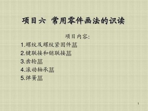 机械识图项目六  常用零件画法的识读