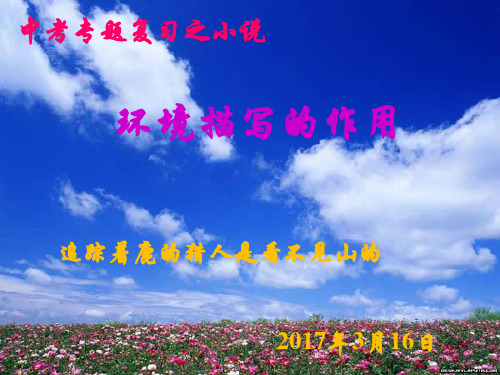 中考专题复习之小说：环境描写的作用PPT优秀课件