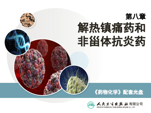 非甾体抗炎药PPT