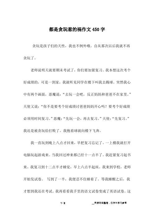 都是贪玩惹的祸作文450字