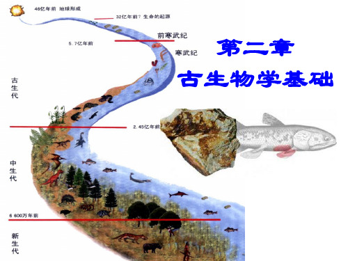 古生物第二章古生物学基础教材