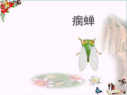 (精选)五年级语文下册第12课《瘸蝉》课件冀教版