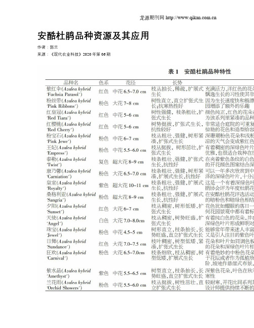 安酷杜鹃品种资源及其应用