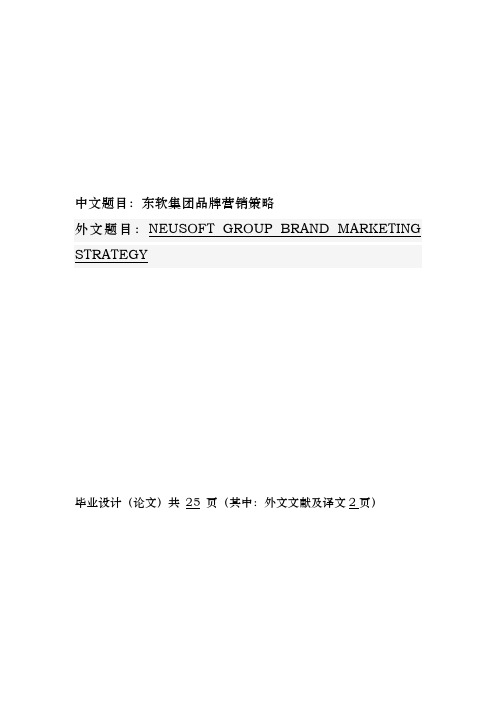 东软集团品牌营销策略研究毕业论文