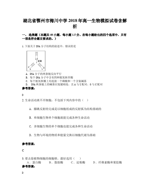 湖北省鄂州市梅川中学2018年高一生物模拟试卷含解析