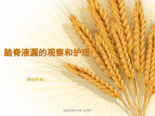 脑脊液漏的护理 ppt课件
