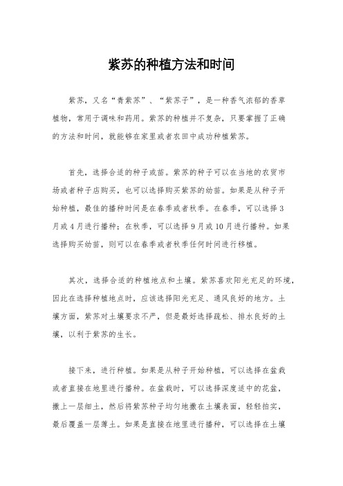 紫苏的种植方法和时间