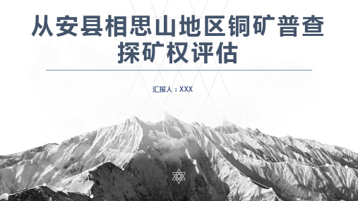 矿产资源评估-铜矿探矿权评估案例-地质要素平序法