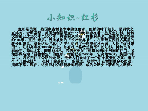 细胞分裂PPT教学课件